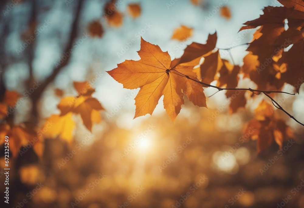 Art autumn sunny nature background