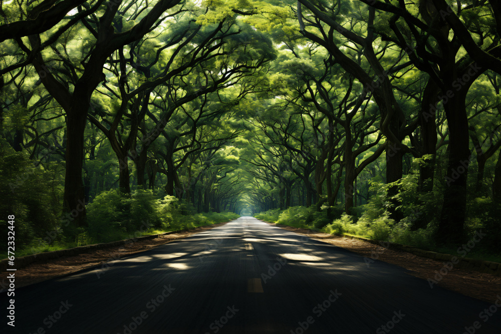 Obraz premium Shaded road under arching green tree branches