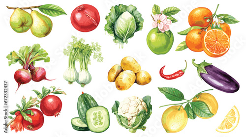 Watercolor painted collection of vegetables and fruits. Hand drawn fresh food design elements isolated on white background.