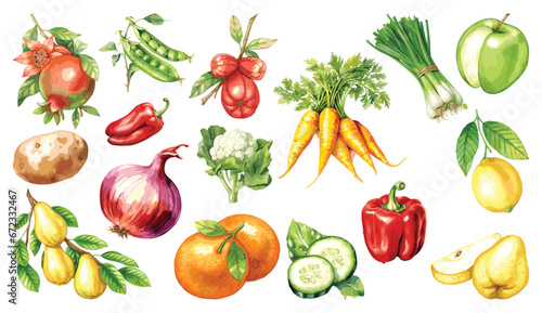 Watercolor painted collection of vegetables and fruits. Hand drawn fresh food design elements isolated on white background.