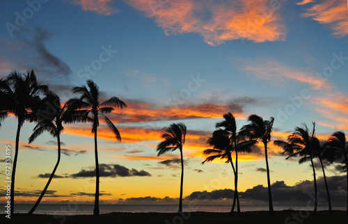 Sunset with palm trees 