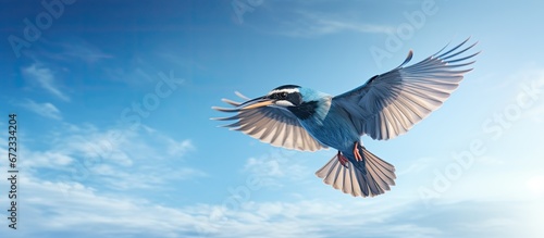 A bird from the wildlife soars in the clear blue sky