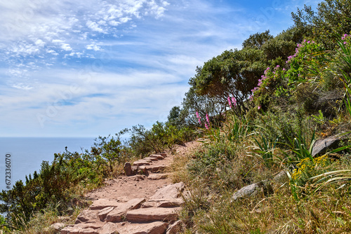 Rocky mountain trail on sunny summer day in Cape Town South Africa. Hiking path next to colorful plants with ocean background. Isolate terrain found on Lions Head in Table Mountain National Park