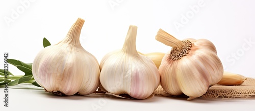 A complete bulb of garlic and two individual cloves displayed alone on a white backdrop