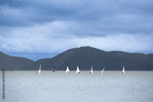 Several sailboats sailing during a regatta in the city of Santos.