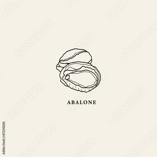 Line art abalone illustration. Seafood drawing