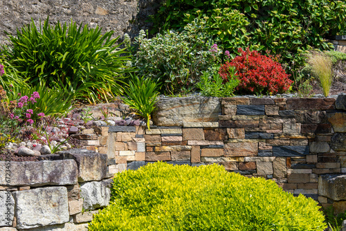 Muret de pierre dans un petit jardin paysagé au printemps.