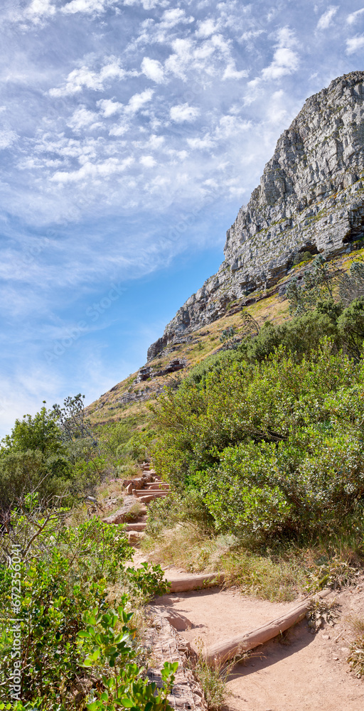 Beautiful mountain trail on sunny summer day. Rocky area next to colourful plants. Isolated natural space in Table Mountain National park on Lions Head in Cape Town South Africa