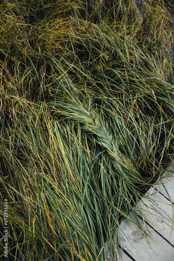 Green grass braided at the wooden path through the swamp Green grass braided at the wooden path through the swamp