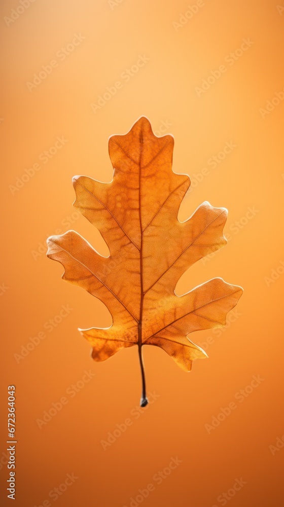 autumn oak leaf against warm orange background, intricate vein patterns and golden hues of fall. autumn oak leaf against warm orange background, intricate vein patterns and golden hues of fall.