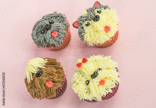 Photos pastel tortas, cupcakes, chocolate, perros, mascotas, comida para perro, dulces,