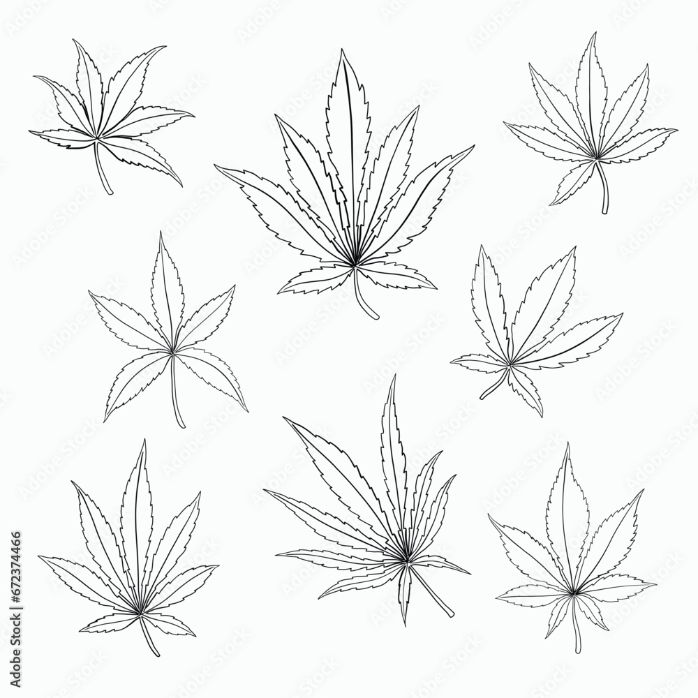 Fototapeta premium Simplicity cannabis leaf freehand drawing.