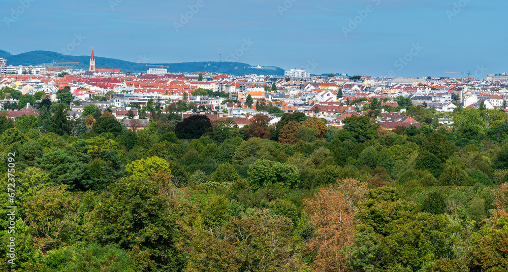 View of the city from a height above the forest.