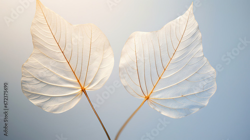  two large white leaves on top of each other on a blue background. generative ai