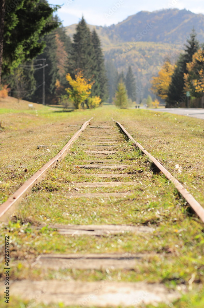 Abandoned rails 