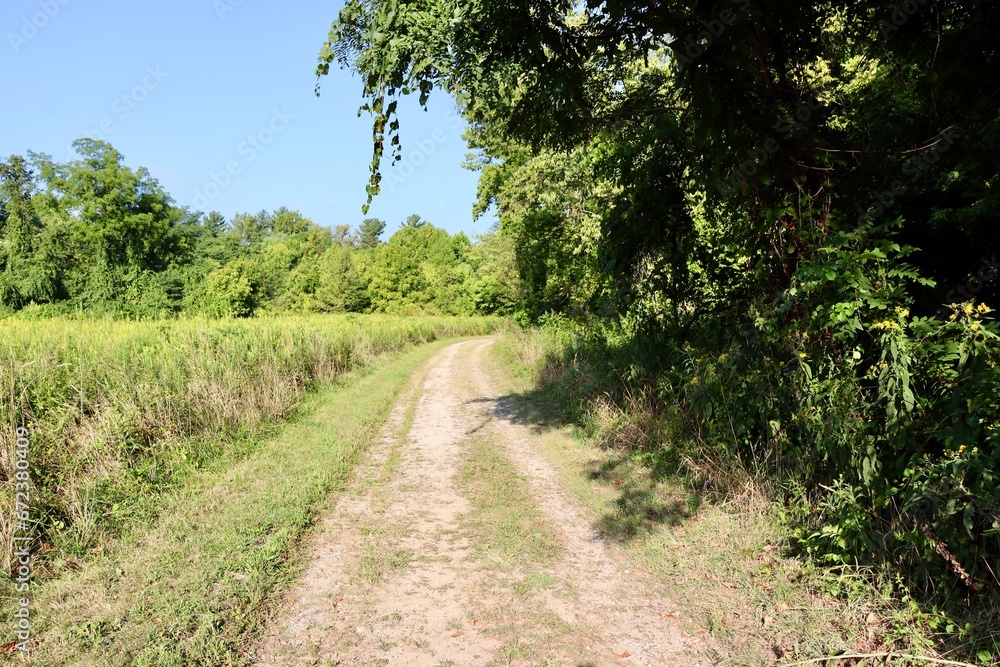 The dirt trail in the country on a sunny day. The dirt trail in the country on a sunny day.