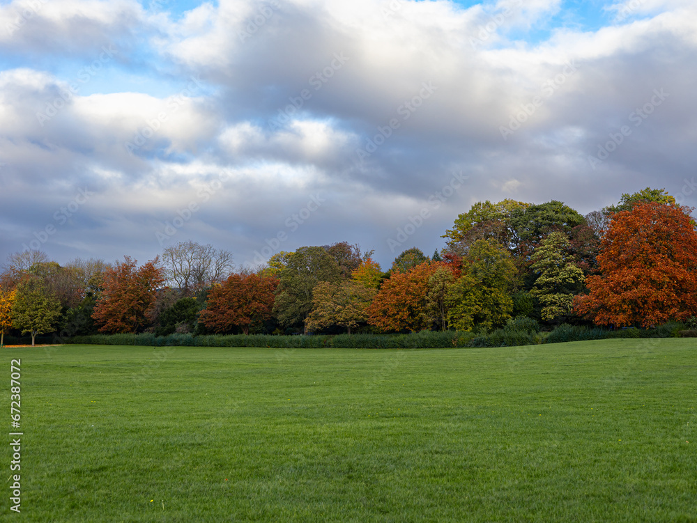 autumn landscape with trees autumn landscape with trees