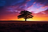 Silhouette of tree with sunset over trees and beautiful sky.
