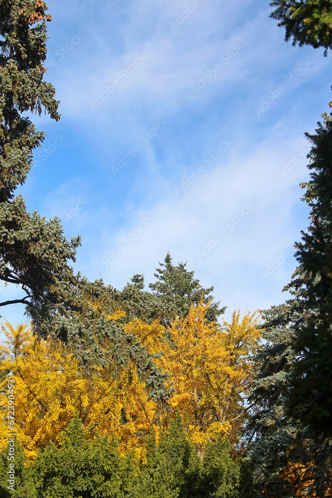 bright autumn colors bright autumn colors