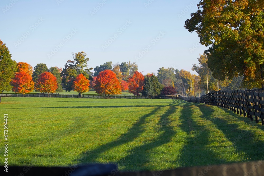 an open field with trees and a fence in the background