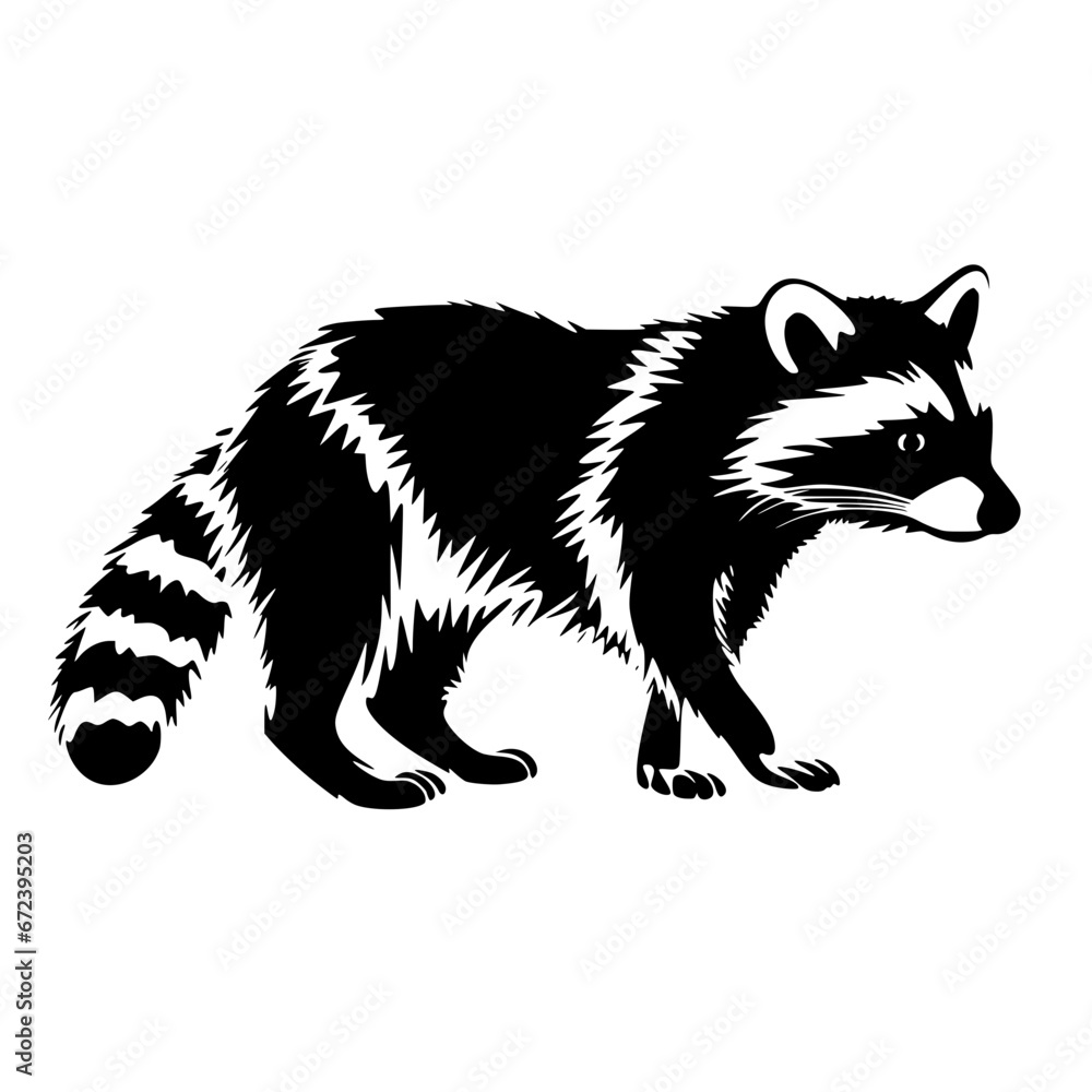 raccoon vector raccoon vector