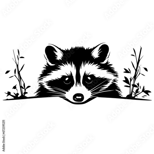 raccoon vector