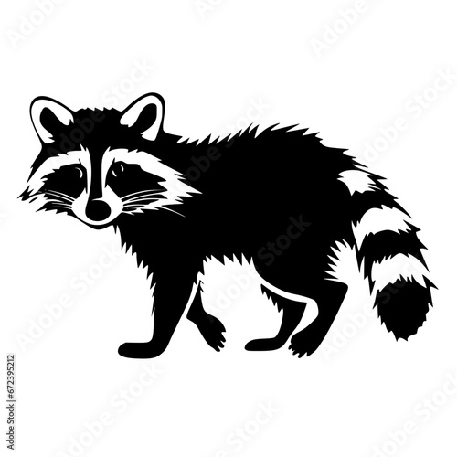 raccoon vector