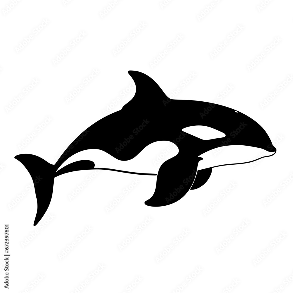 Obraz premium Whale Vector