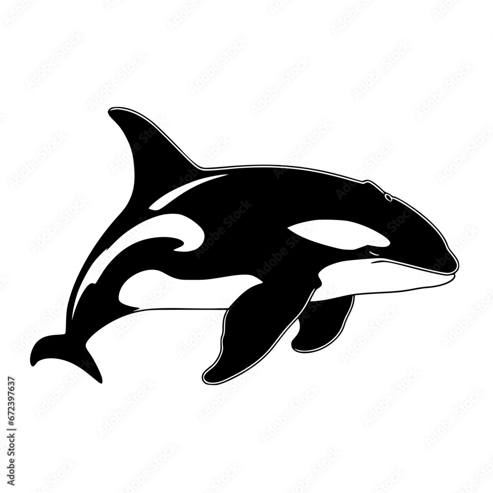 Fototapeta premium Whale Vector