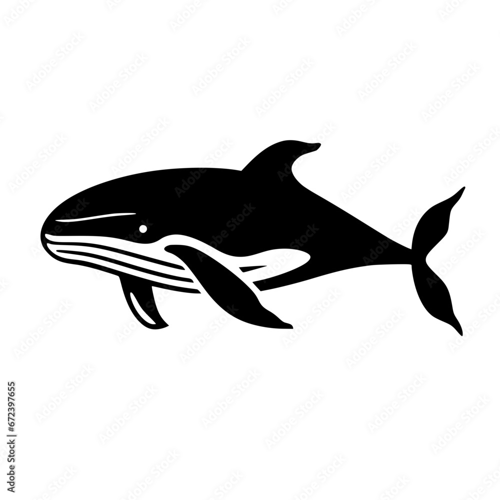 Fototapeta premium Whale Vector