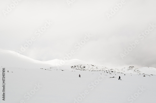 Slika na platnu Snowy Whiteout