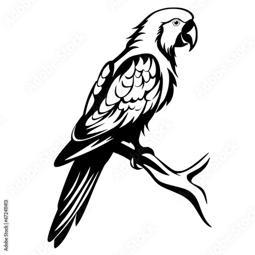 parrot vector