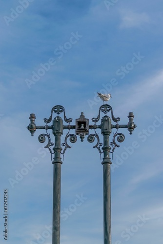 White seagull stands atop a street lamp against the backdrop of a vast blue sky