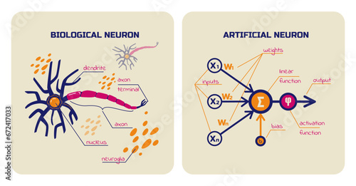 Visual schemes of biological and artificial neurons. Neural network elements. Vector illustration.
