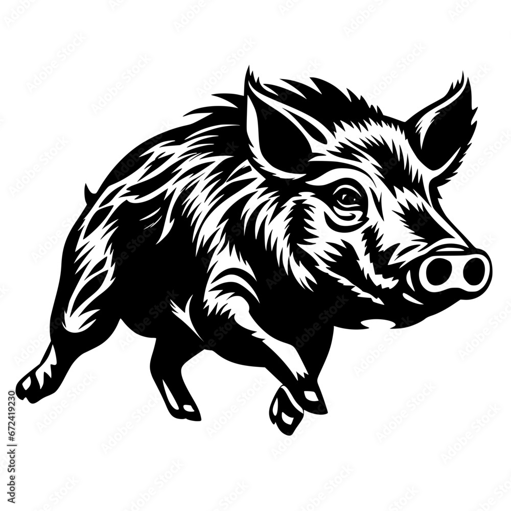 Fototapeta premium Boar Vector