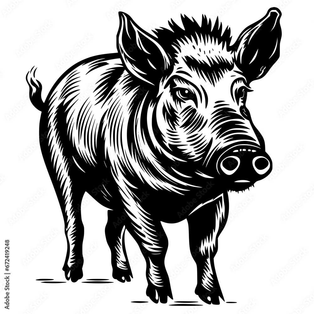 Fototapeta premium Boar Vector