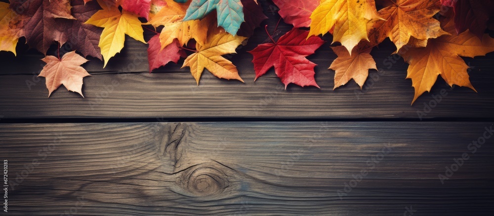 Colorful autumn foliage set against a dark wooden backdrop enhanced with retro vintage filters Colorful autumn foliage set against a dark wooden backdrop enhanced with retro vintage filters