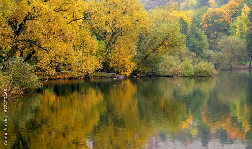 Fototapeta premium Autumn in lake Trekanten - Stockholm