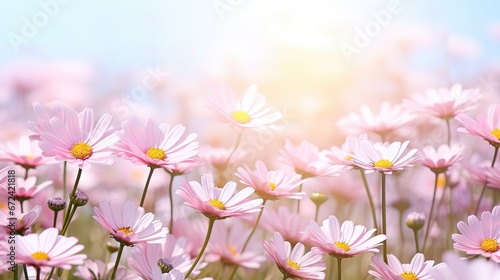  a field full of pink daisies with a blue sky in the background and a sunbeam in the foreground. generative ai