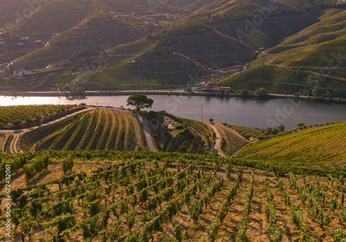 Drone footage of vineyards on the banks of the Duoro in Portugal's Duoro Valley