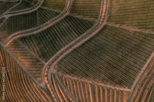 Drone footage of vineyards on the banks of the Duoro in Portugal's Duoro Valley
