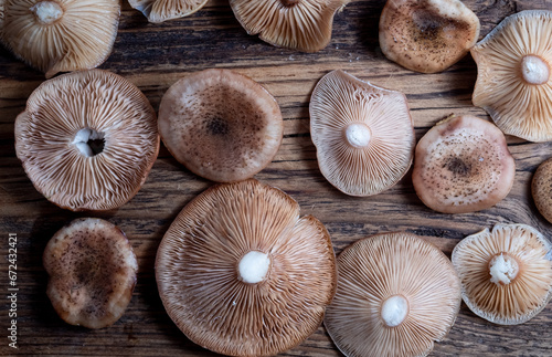 Inverted caps of edible honey mushrooms on a wooden background. Copy space
