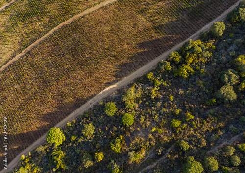 Drone footage of vineyards on the banks of the Duoro in Portugal's Duoro Valley
