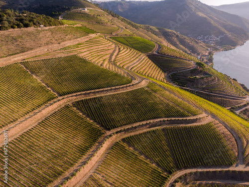 Drone footage of vineyards on the banks of the Duoro in Portugal's Duoro Valley
