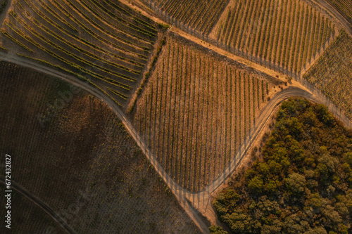 Drone footage of vineyards on the banks of the Duoro in Portugal's Duoro Valley
