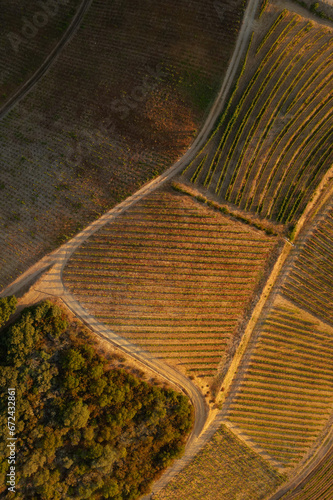 Drone footage of vineyards on the banks of the Duoro in Portugal's Duoro Valley. 