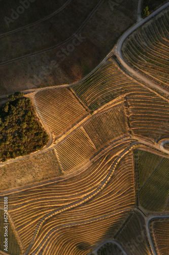 Drone footage of vineyards on the banks of the Duoro in Portugal's Duoro Valley.   : AL   foto Wouter Borre  WBE20190812