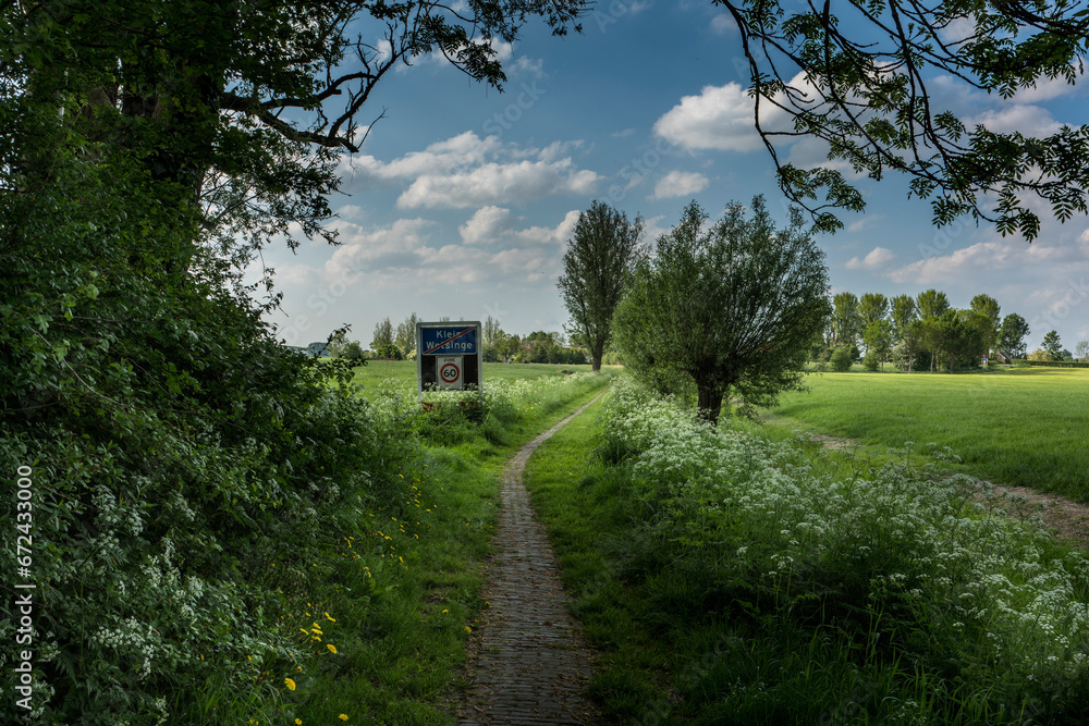 A footpath between the meadows surrounded by cow parsley runs from Wetsinge to Klein Wetsinge, two villages in the municipality of Het Hogeland in the province of Groningen.