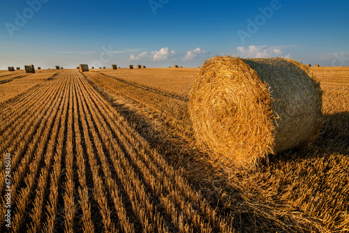 a roll of straw in a field , stubble after harvest lines