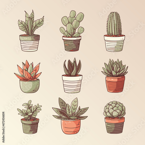 Succulents